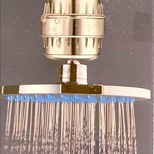 The GoodFor Company ™️ Alkaline Shower Head